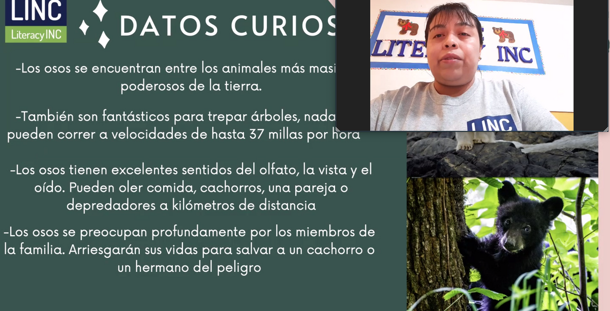 A Year of VIP Excellence