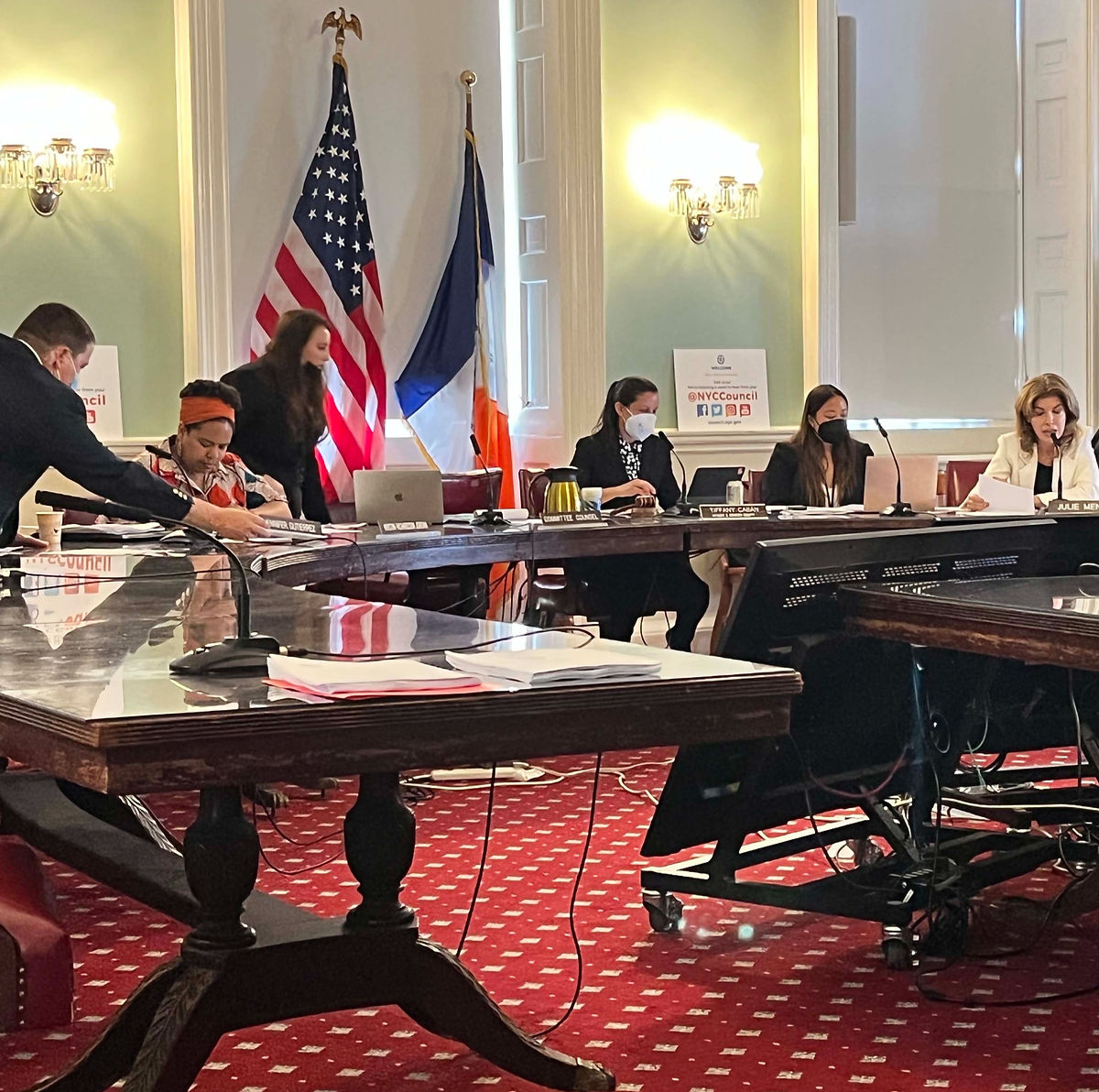 LINC Testimony: Women and Gender Equity Committee Hearing, June 29, 2022